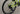 #color_lime-punch