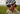 Eyewear
