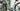 #color_sliver-pine