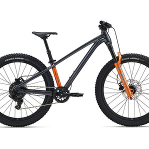 GIANT STP 24 FS