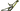 #color_gloss-kelp-green