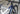 #color-metallic-navy-white